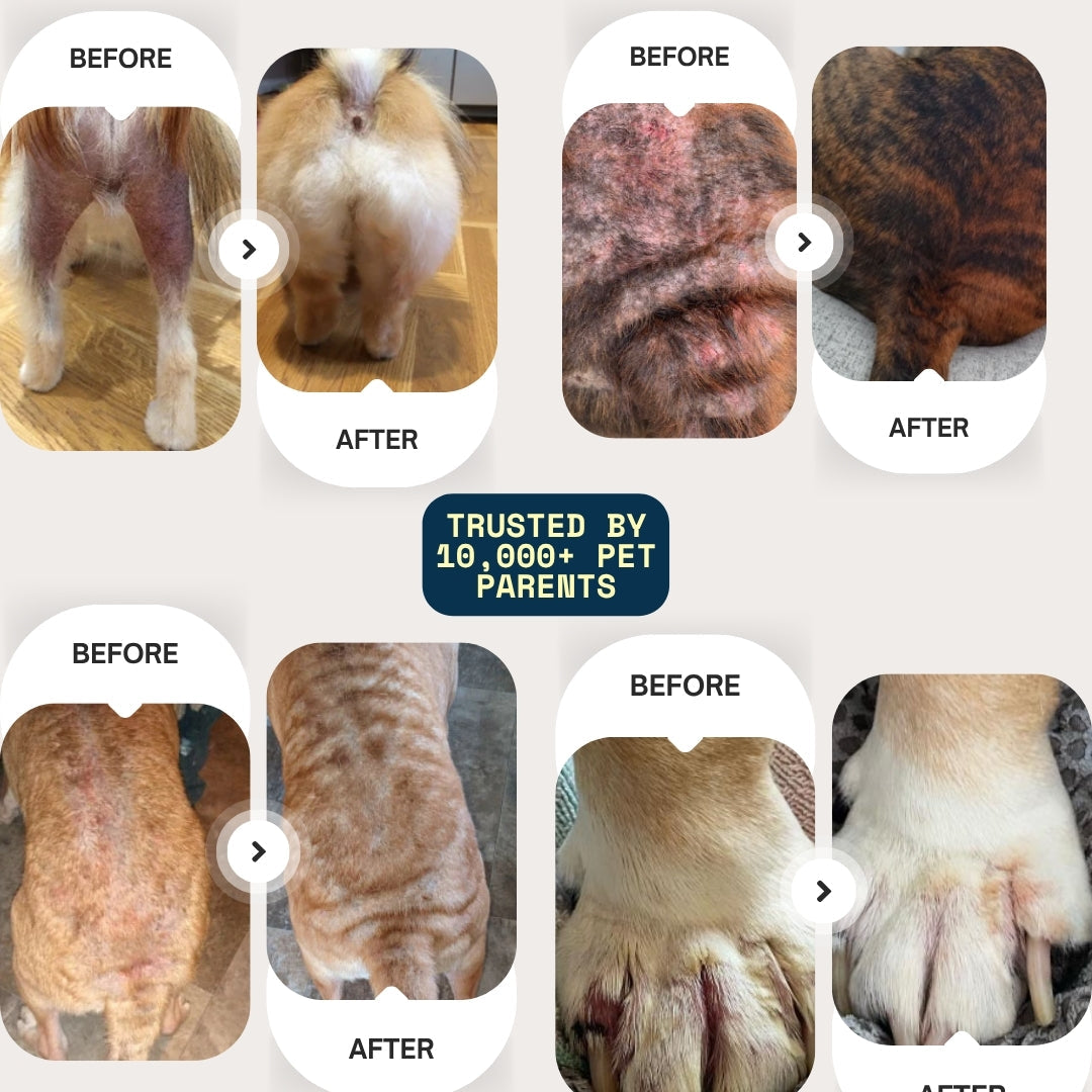 Healpaws™ Vet Formulated Spray